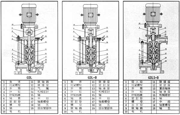 GDL立式多级管道泵-2.jpg